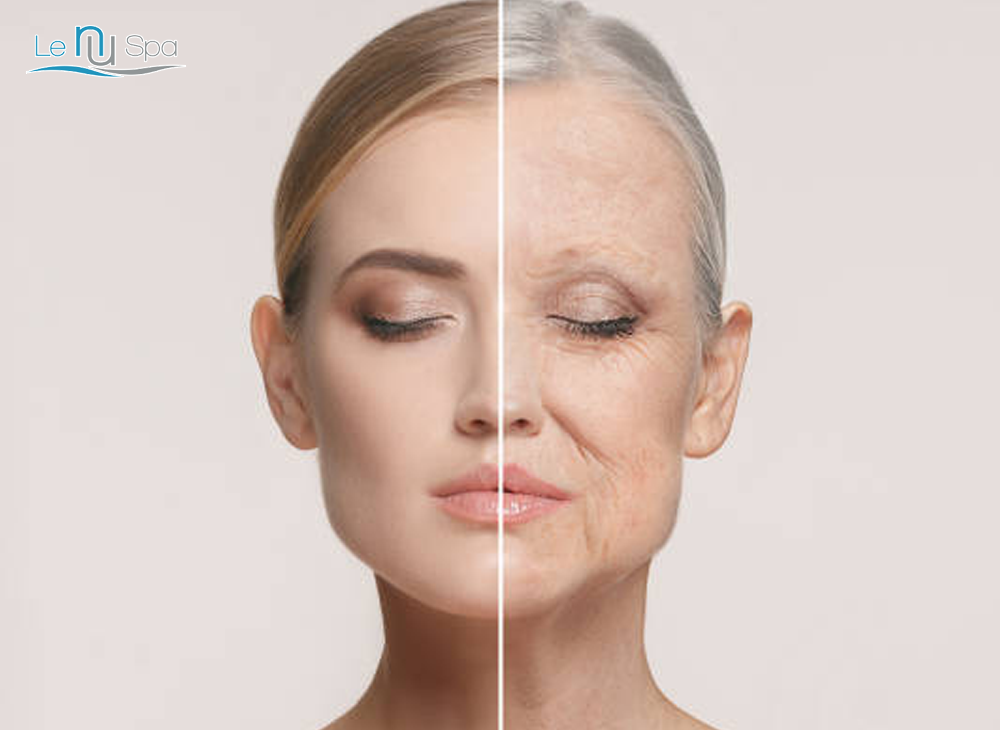 Add-On SQT Anti-Aging