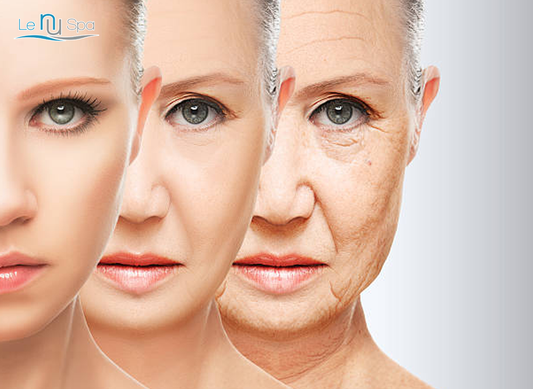 Member- SQT Anti-Aging